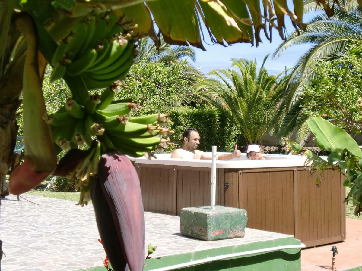 Finca La Gaviota - Los Limoneros Икод де лос Винос Екстериор снимка