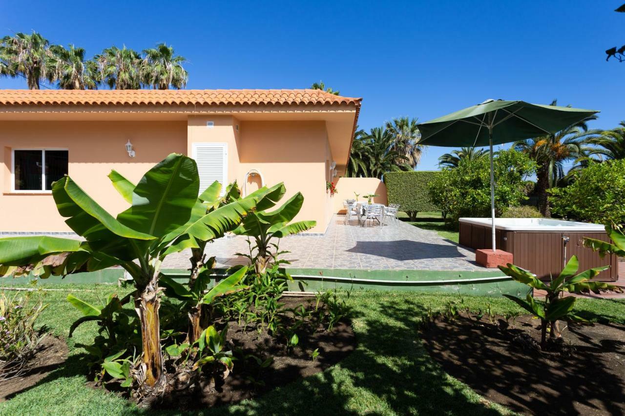 Finca La Gaviota - Los Limoneros Икод де лос Винос Екстериор снимка